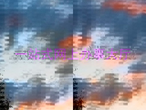 一站式网上办事大厅