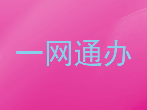一网通办