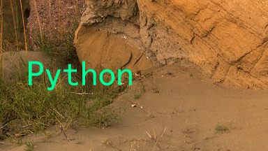 Python