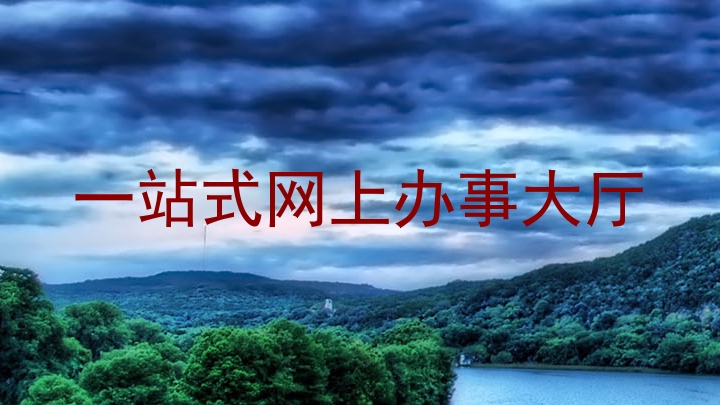 一站式网上办事大厅