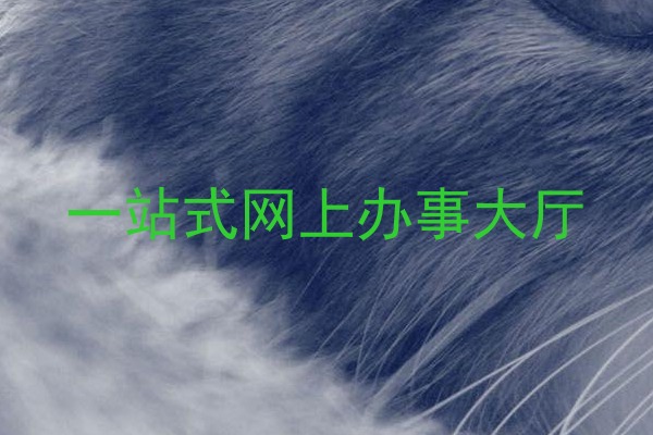 一站式网上办事大厅