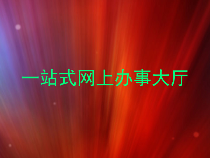 一站式网上办事大厅