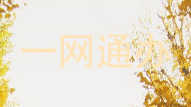 一网通办