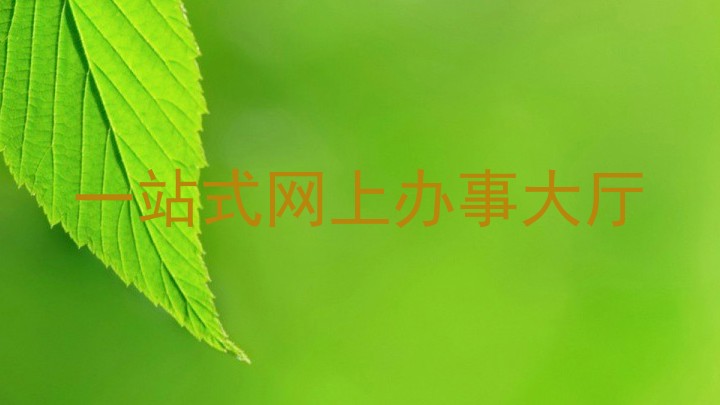 一站式网上办事大厅