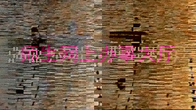 师生网上办事大厅