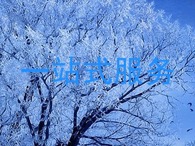 一站式服务