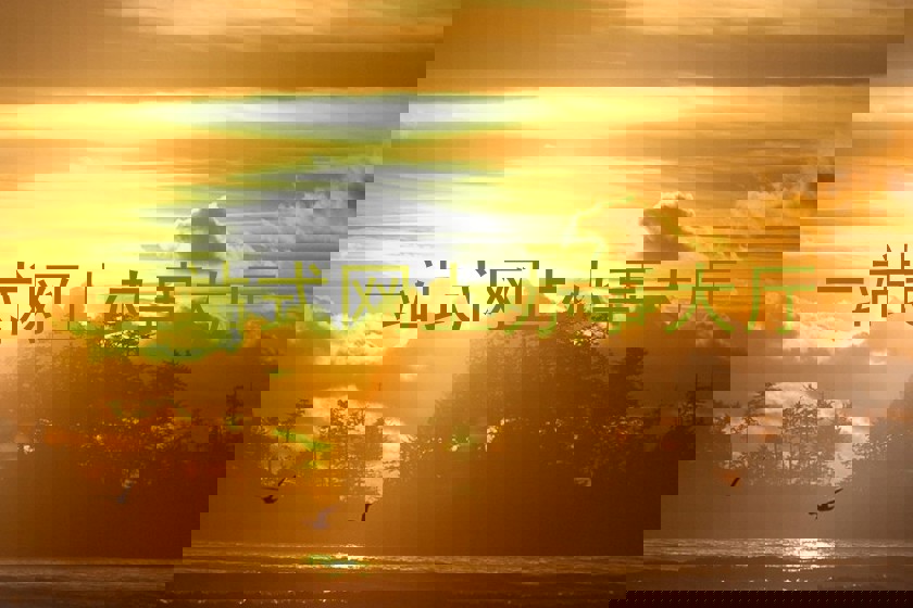 一站式网上办事大厅