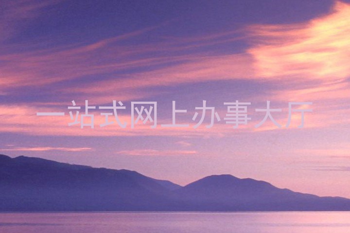 一站式网上办事大厅