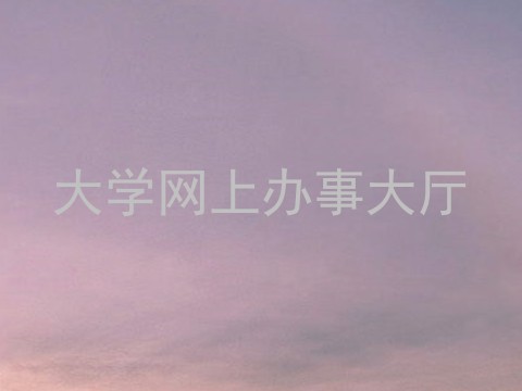 大学网上办事大厅