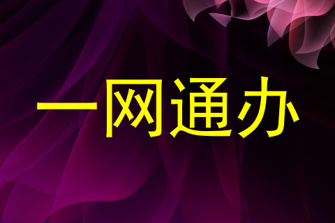 一网通办