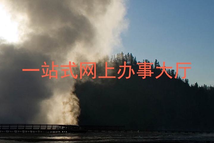 一站式网上办事大厅