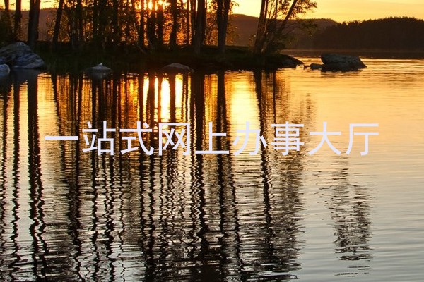 一站式网上办事大厅