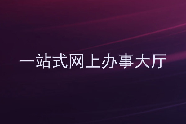 一站式网上办事大厅