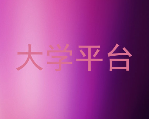 大学平台