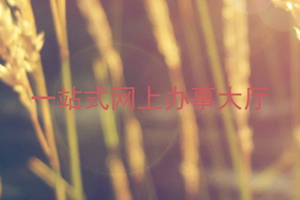 一站式网上办事大厅