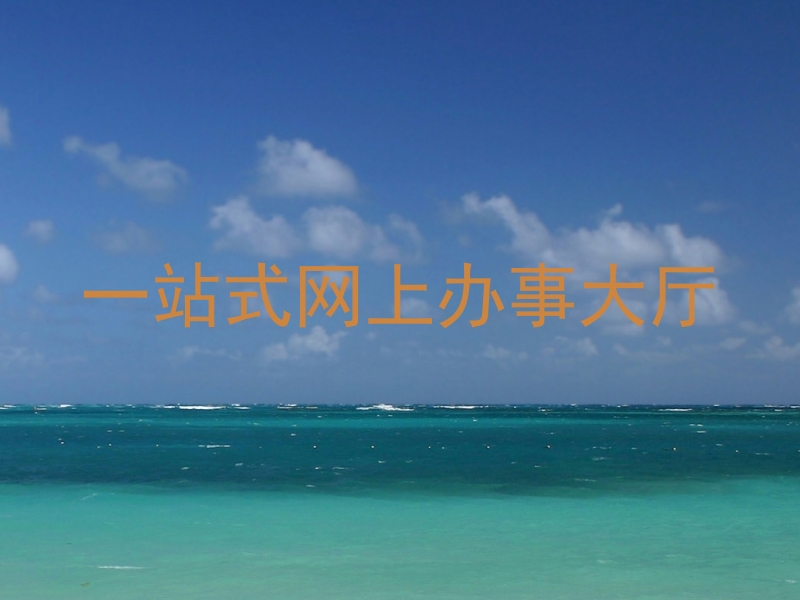 一站式网上办事大厅