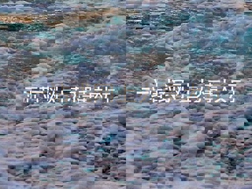 一站式网上办事大厅