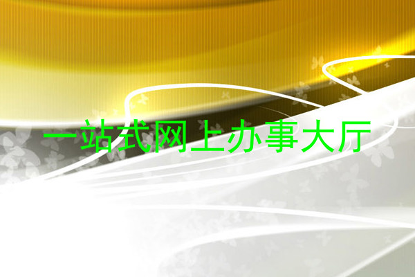 一站式网上办事大厅