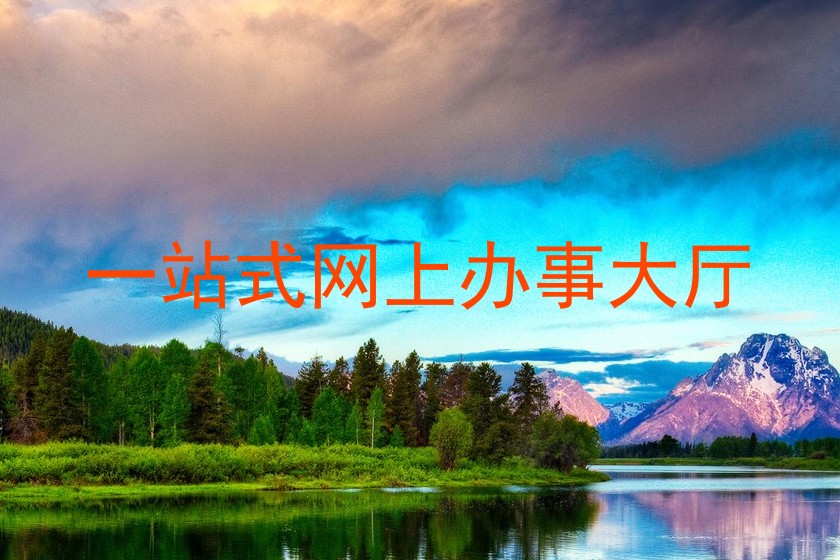 一站式网上办事大厅