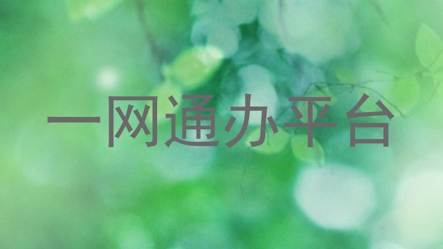 一网通办平台
