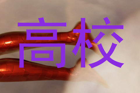 高校