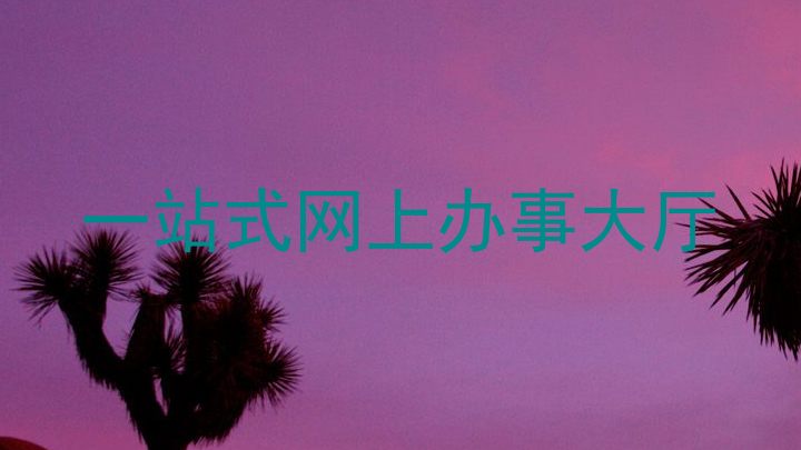 一站式网上办事大厅