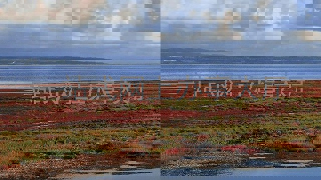 一站式网上办事大厅