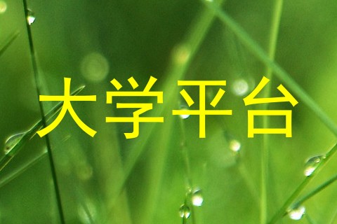 大学平台