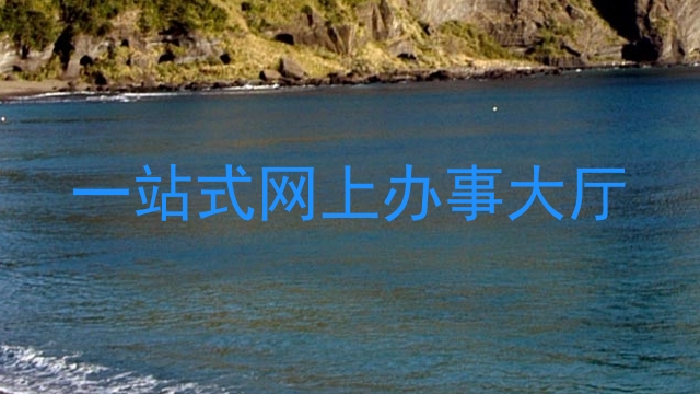 一站式网上办事大厅