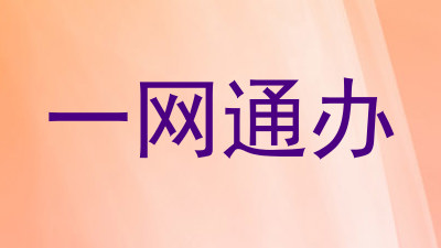 一网通办