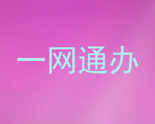 一网通办