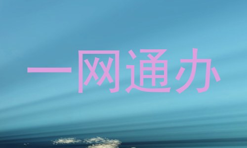 一网通办