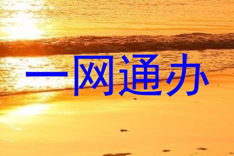 一网通办