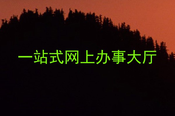 一站式网上办事大厅