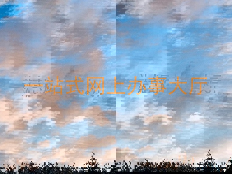 一站式网上办事大厅