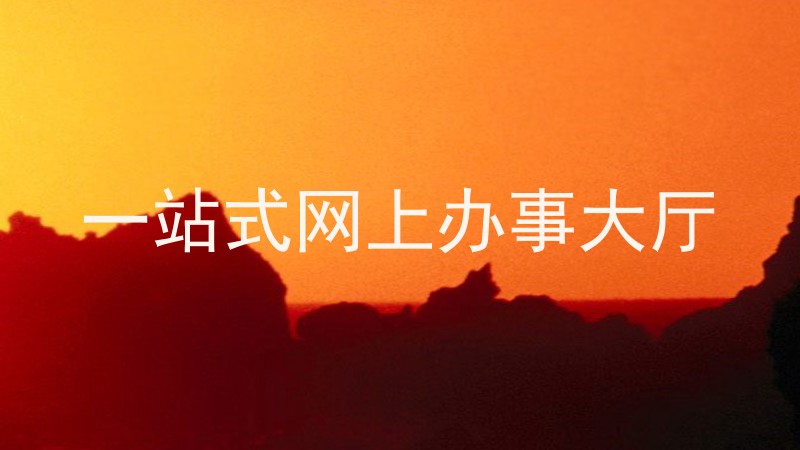 一站式网上办事大厅