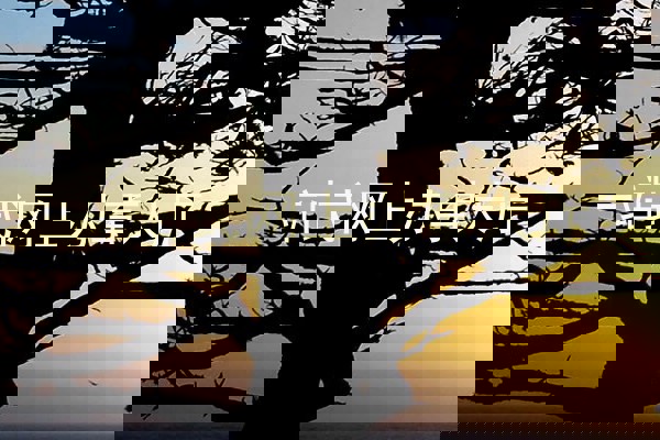 一站式网上办事大厅