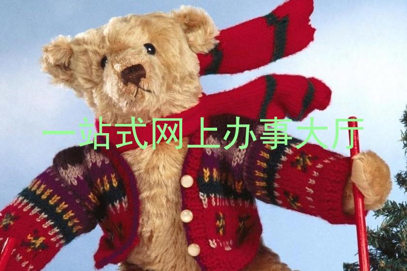 一站式网上办事大厅