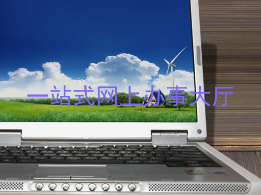 一站式网上办事大厅