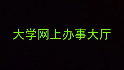 大学网上办事大厅