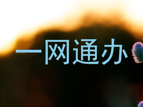 一网通办