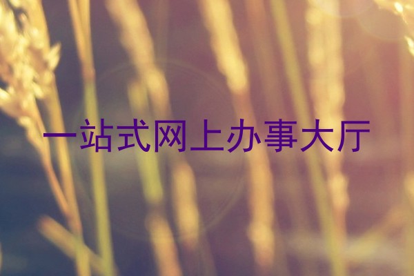 一站式网上办事大厅