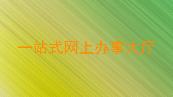 一站式网上办事大厅