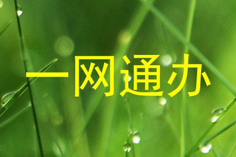 一网通办