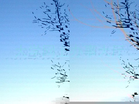 大学网上办事大厅