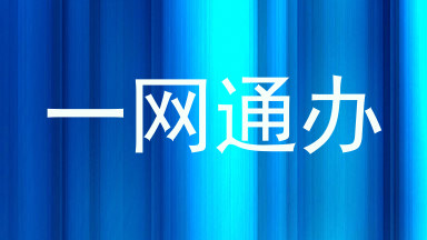 一网通办