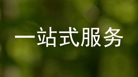 一站式服务