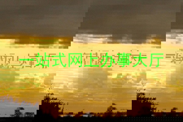 一站式网上办事大厅