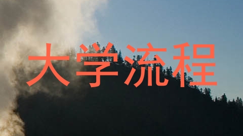 大学流程