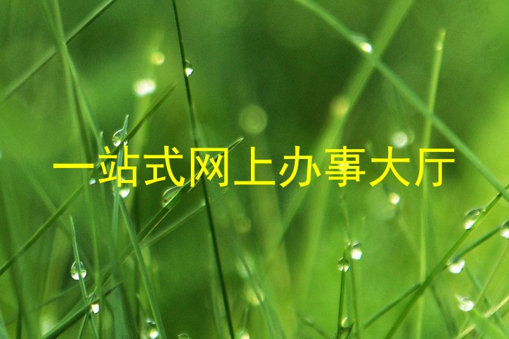 一站式网上办事大厅